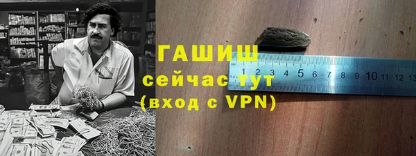 стафф Арсеньев