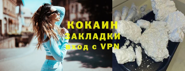 стафф Арсеньев