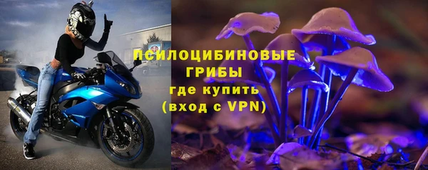 стафф Арсеньев