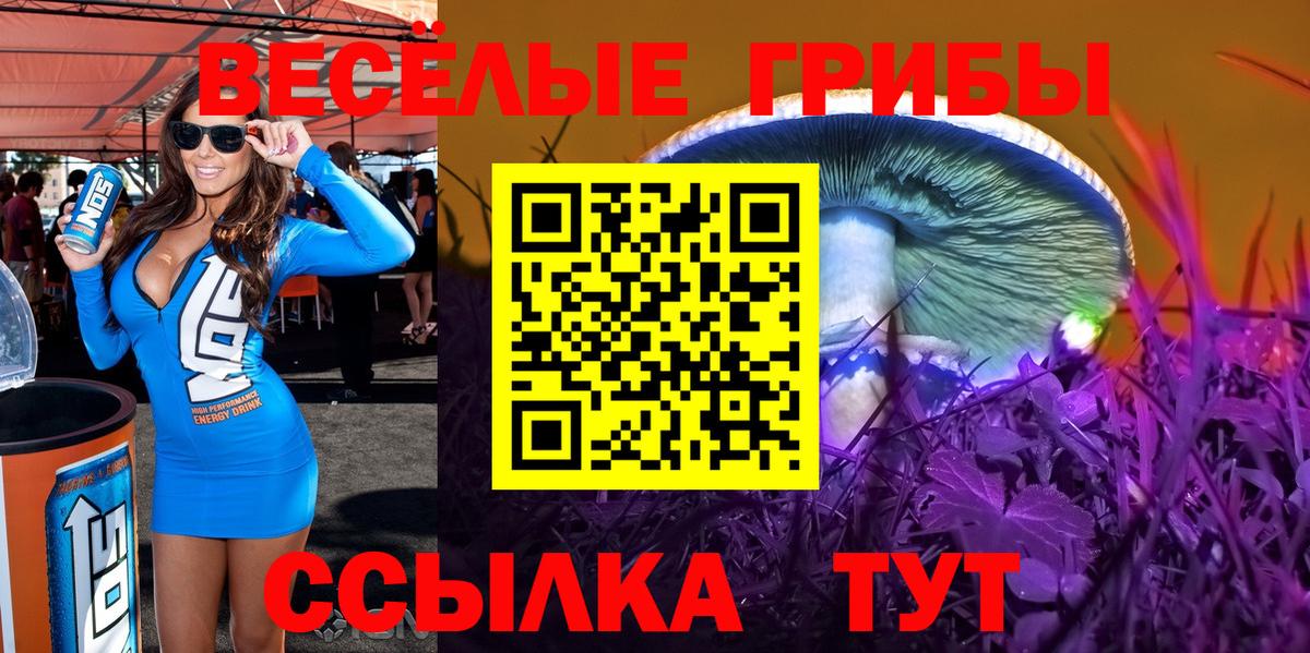 Псилоцибиновые грибы Psilocybine cubensis Нарткала