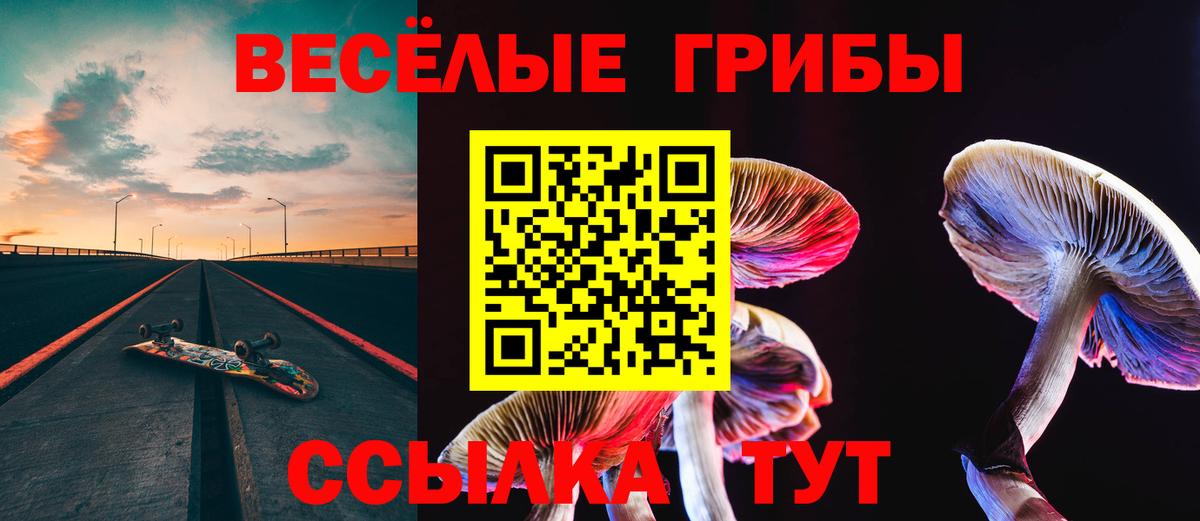 Псилоцибиновые грибы Magic Shrooms  Вход с VPN  закладка  Псилоцибиновые грибы мицелий  Нарткала 